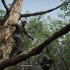 Un remake que encantará a los fans: los periodistas comparten sus impresiones sobre la demo de Metal Gear Solid Δ: Snake Eater-6 Un remake que encantará a los fans: los periodistas comparten sus impresiones sobre la demo de Metal Gear Solid Δ: Snake Eater-6
