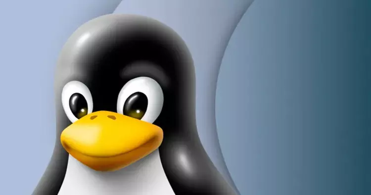 Nuevo fallo en Linux: la vulnerabilidad ...