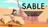 Explora el vasto desierto: EGS ha lanzado un sorteo para la colorida aventura Sable