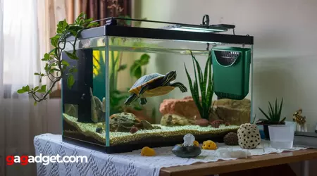 Mejor Filtro para Tortugueras