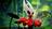 Se ha revelado el precio estimado de Hollow Knight: Silksong - el juego será mucho más barato que los mega éxitos modernos