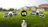 DJI Neo vs DJI Flip: Comparativa