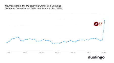 TikTok en el bloque, Duolingo en la cima: aumento inesperado de la popularidad