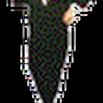 YAleks