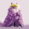 Diseño único de gatos en Catly