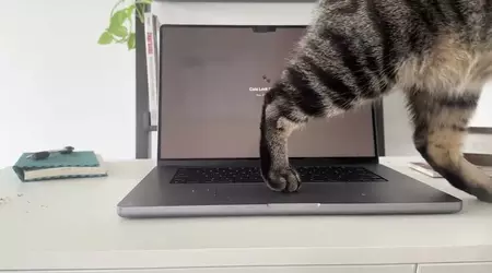 Cats Lock: la app de 2,99 € que bloquea el teclado de tu Mac cuando tu gato se sube encima
