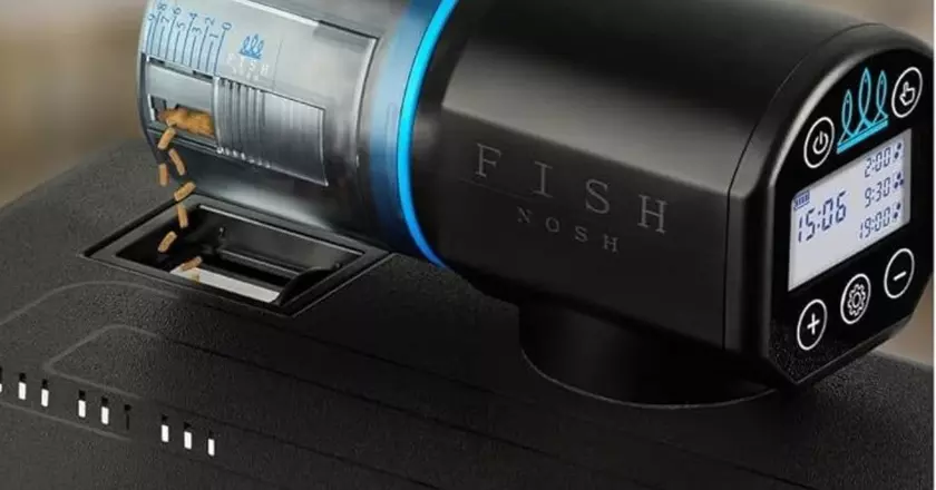 FISHNOSH alimentador peces programable