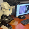 Google y el Pentágono han desarrollado un microscopio basado en inteligencia artificial para el diagnóstico del cáncer-5 Google y el Pentágono han desarrollado un microscopio basado en inteligencia artificial para el diagnóstico del cáncer-5