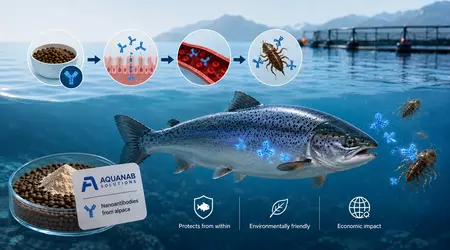 Alpacas contra los piojos de mar: AquaNab usa nanoantucuerpos para proteger los salmones