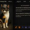Escena de gato con diferentes objetos