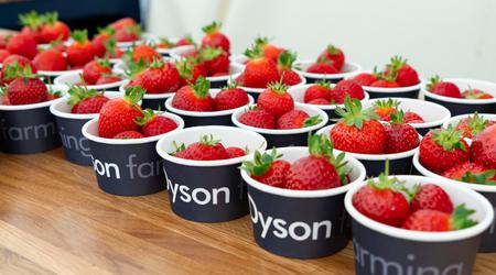 Nota del editor: fresas, aspiradoras y surf británico: cómo Dyson convirtió una granja en un laboratorio del futuro