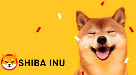 Un usuario invierte 8.000 dólares en la criptomoneda Shiba Inu y gana más de 5.000.000 de dólares