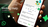 WhatsApp agrega un parafraseo potenciado por IA de mensajes escritos
