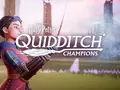 post_big/Harry-Potter-Quidditch-Champions-scaled.jpg