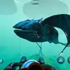 Miniatura de Subnautica: Below Zero 1