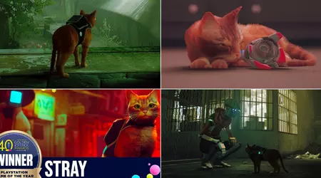 La historia de Stray: cómo un gato de una ciudad cibernética se convirtió en el descubrimiento del año e influyó en la industria del videojuego