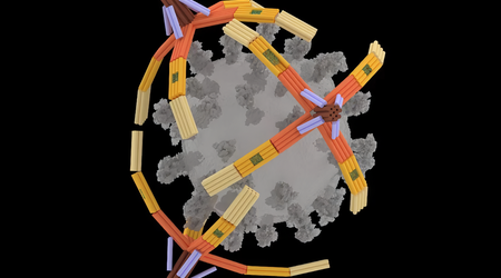 Científicos han creado un "brazo" microscópico hecho de ADN que captura virus para prevenir infecciones
