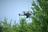 Ucrania crea su propio Mavic debido a problemas con el suministro de drones chinos