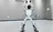 Robot bailarín, con precio similar al de un iPhone, causa sensación: Gran interés en el humanoide Noetix Bumi registrado en China Robot bailarín, con precio similar al de un iPhone, causa sensación: Gran interés en el humanoide Noetix Bumi registrado en China