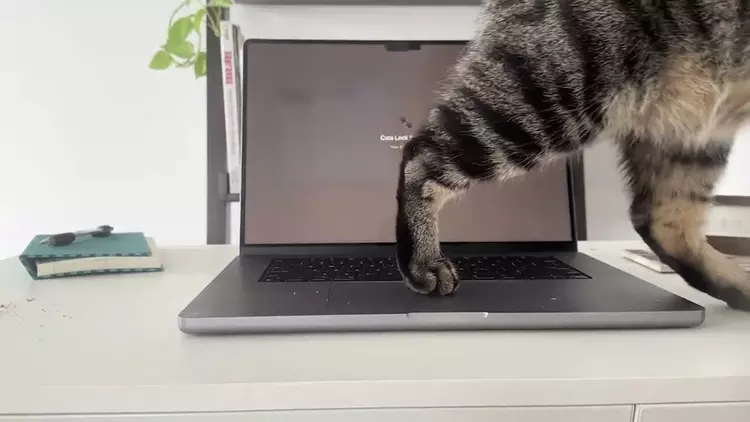 Cats Lock: la app de 2,99 ...