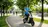 Scooters eléctricos: Tu guía para elegir el viaje urbano perfecto y ecológico