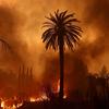 Incendio forestal en Los Ángeles
