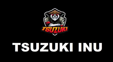 Los creadores de la criptomoneda Tsuzuki Inu ganaron más de $ 1,000,000 y desaparecieron