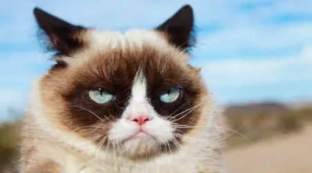 Estados Unidos ha desarrollado el sistema de guerra electrónica basado en el aprendizaje automático Angry Kitten para aviones de combate