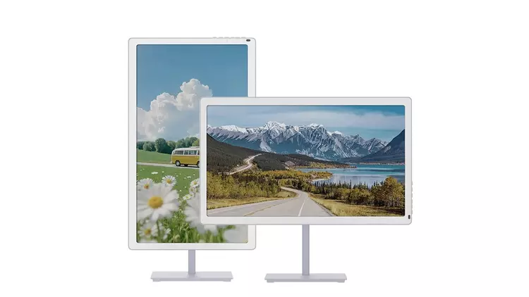 Bigme B251 Pro: el monitor de ...