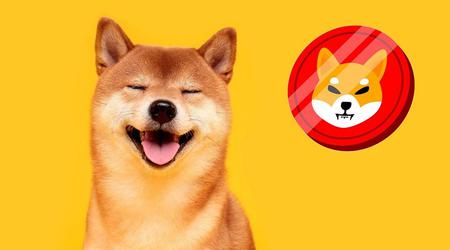 El token de broma Shiba Inu sube un 331% y entra en el top 20 de las criptodivisas gracias a Ilon Musk