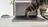 Cats Lock: la app de 2,99 € que bloquea el teclado de tu Mac cuando tu gato se sube encima