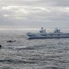 El portaaviones británico HMS Queen Elizabeth, que transporta cazas de quinta generación F-35B Lightning II, se ha transferido al mando de la OTAN por primera vez en la historia-24 El portaaviones británico HMS Queen Elizabeth, que transporta cazas de quinta generación F-35B Lightning II, se ha transferido al mando de la OTAN por primera vez en la historia-24