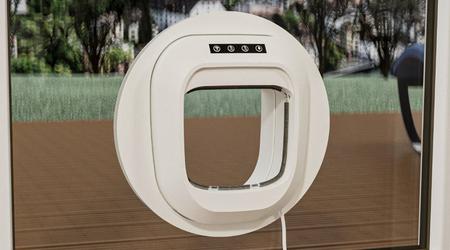 Flappie: una puerta que no se abre si el gato quiere volver a casa con un ratón o un pájaro capturado
