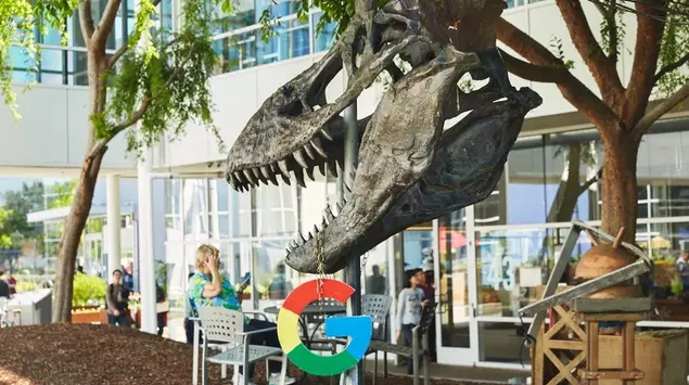 Google usa por defecto tus fotos ...