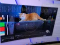 post_big/2_PIA26145_FIG_A.dsoc-cat.width-1320.jpg