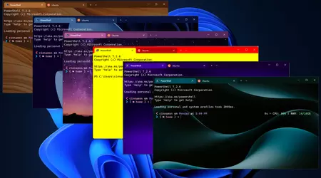 El Terminal de Windows ahora es compatible con los temas de color