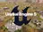 Age of Empires 5 podría pasar a Unreal Engine: la empresa está buscando especialistas en este motor