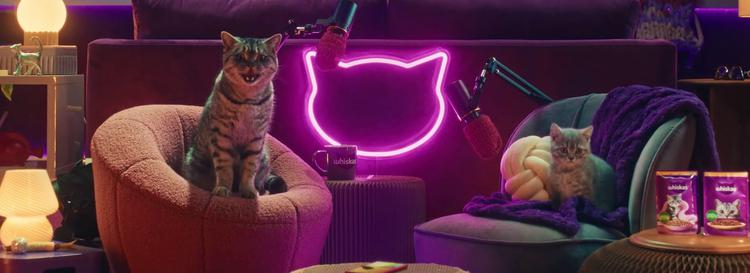 Whiskas ha lanzado el podcast Purrcast: ...