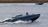 Primeros detalles sobre la destrucción de dos SU-30 rusos en el Mar Negro: se utilizó una nueva modificación del dron marítimo Magura con misiles AIM-9