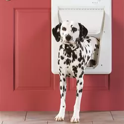 Puerta electrónica SmartDoor para perros y gatos de PetSafe