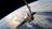 Un nuevo récord de SpaceX: la empresa puso 29 satélites Starlink en órbita en un solo lanzamiento