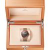 Movimiento Co-Axial Omega Seamaster Diver 300M