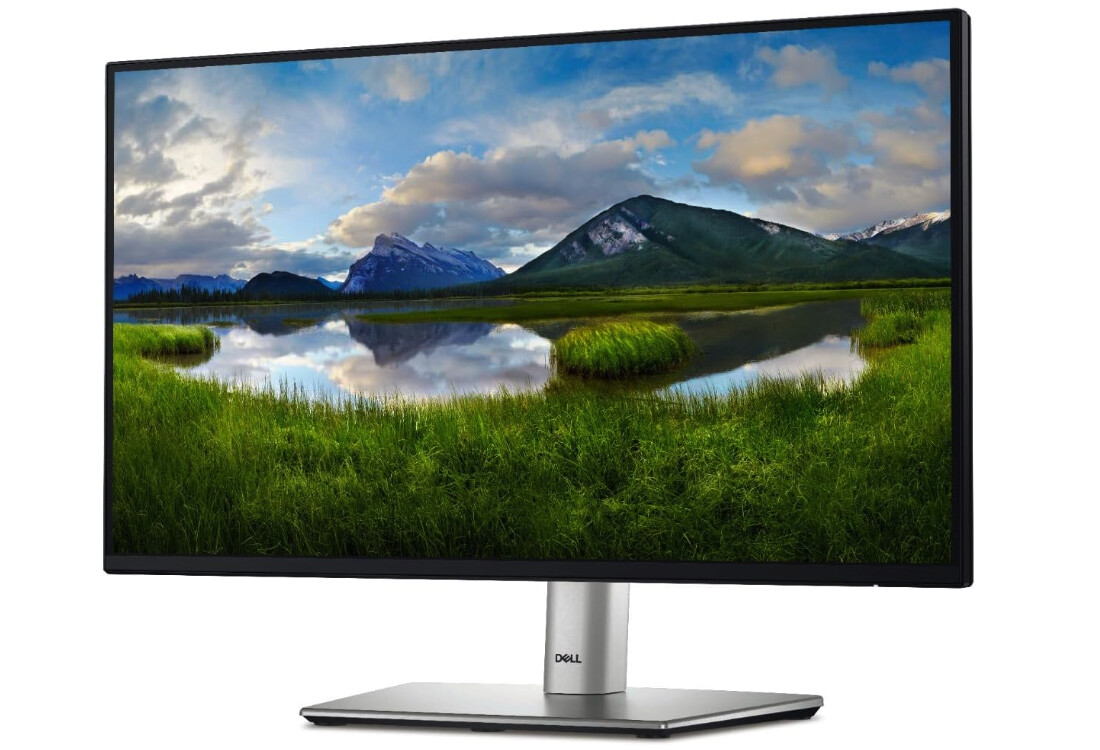 Monitor de productividad de oficina Dell P2422H