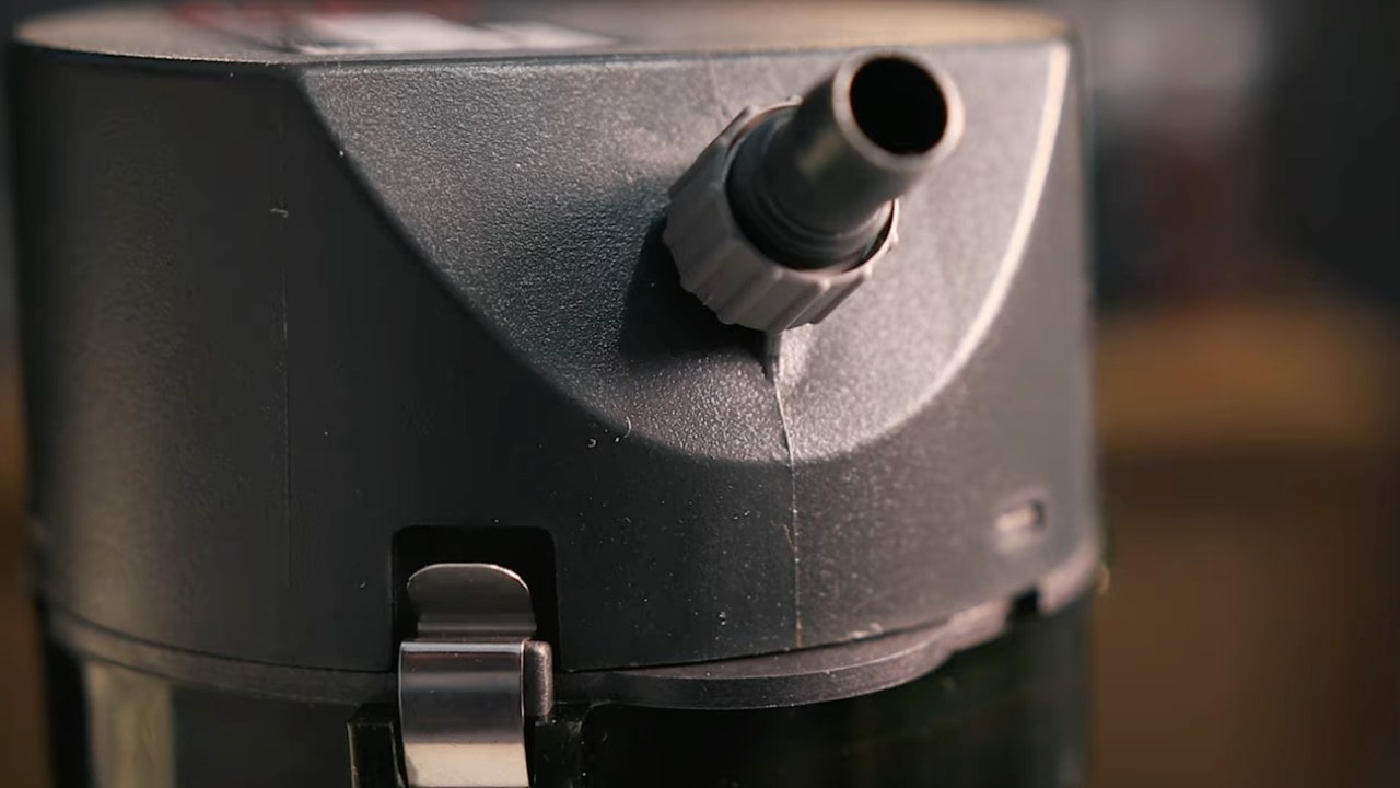 EHEIM mejor filtro externo para acuario de tortugas