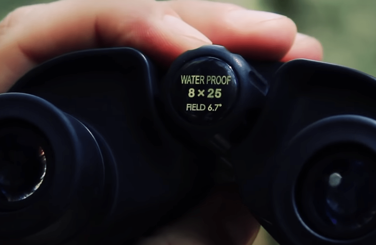 Prismáticos de caza Leupold BX-1 Rogue 8x25