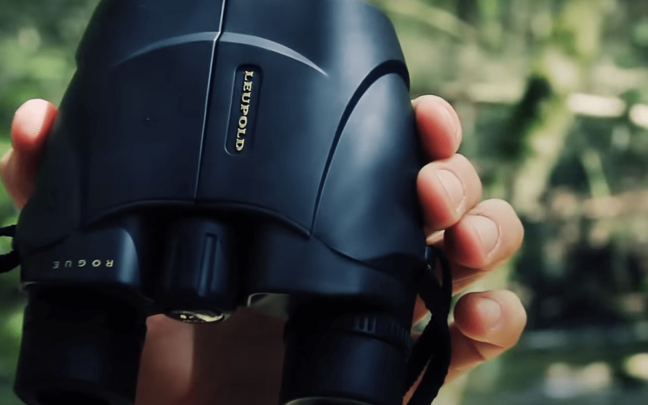 Prismáticos económicos Leupold BX-1 Rogue 8x25