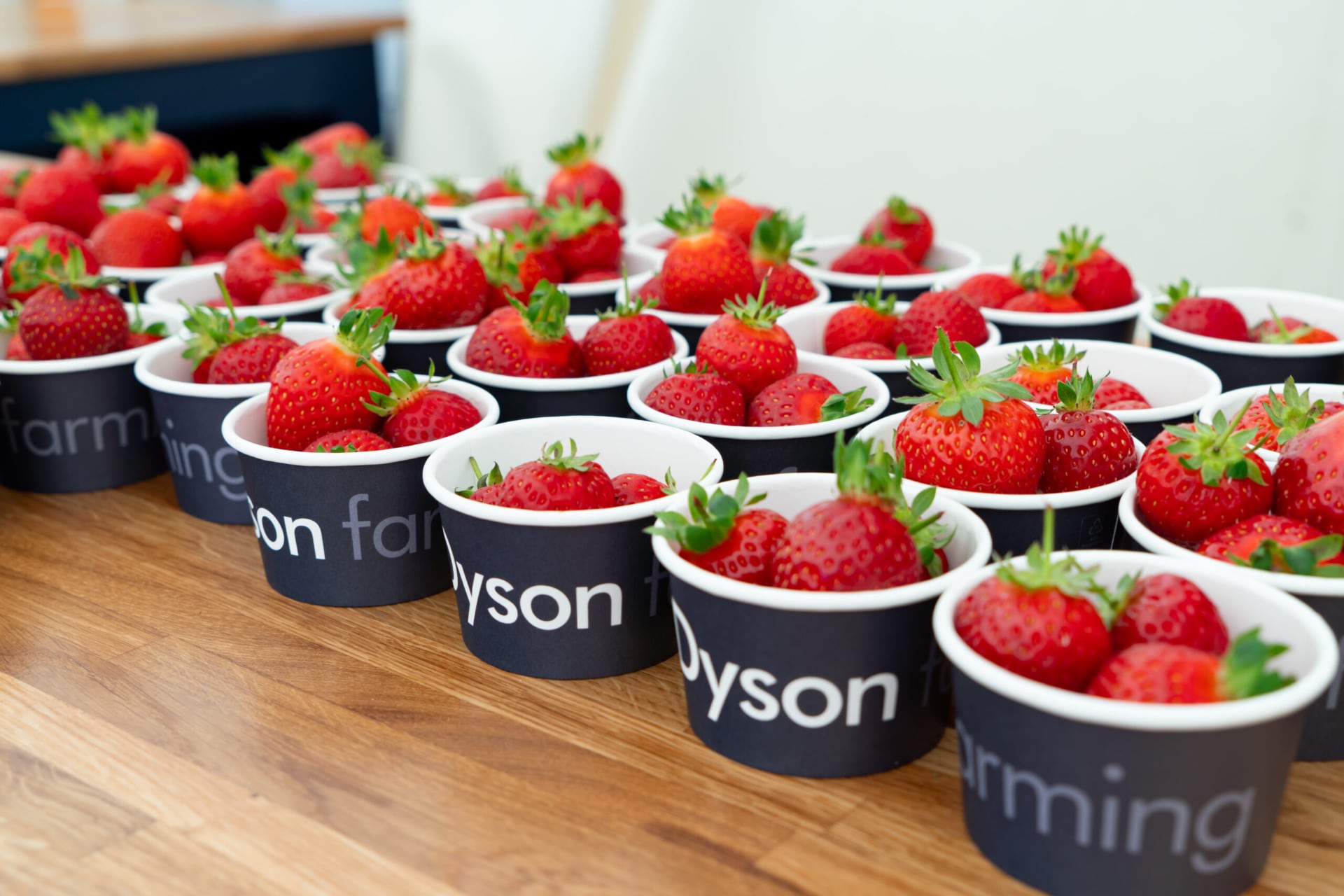 Nota del editor: fresas, aspiradoras y surf británico: cómo Dyson convirtió una granja en un laboratorio del futuro Nota del editor: fresas, aspiradoras y surf británico: cómo Dyson convirtió una granja en un laboratorio del futuro