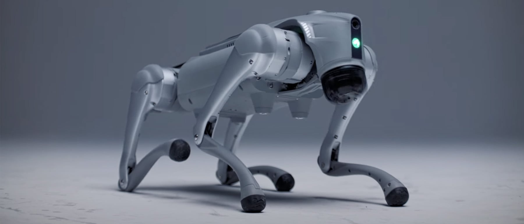 Enfoque innovador: la tecnología IntuiCell en robótica Robots de IA: cómo la tecnología IntuiCell está cambiando las reglas del juego