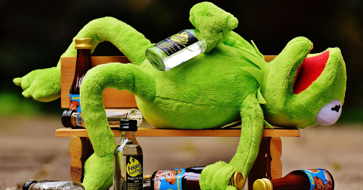 La recreación inconsciente de Kermit: ¿cuál fue la causa de sus aventuras nocturnas? Kermit en el banco: Cómo una rana se recupera de una noche agitada