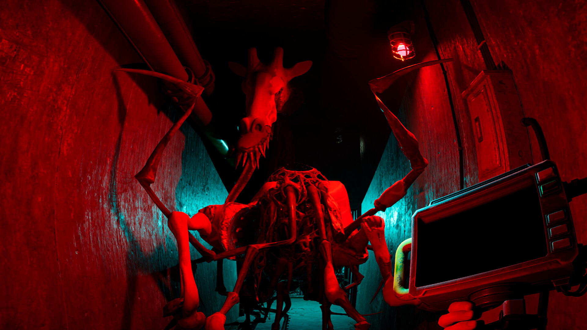 ¿Qué es la película 'Zoochosis'? Primera información Zoochosis: Inmersión en el mundo de un nuevo thriller